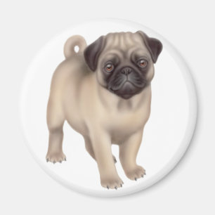 Pug Puppy Round Magnet
