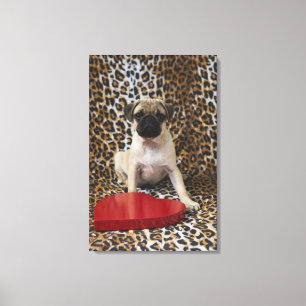 Pug puppy sitting against animal print