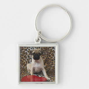 Pug puppy sitting against animal print key ring