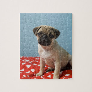 Pug puppy sitting on bed jigsaw puzzle
