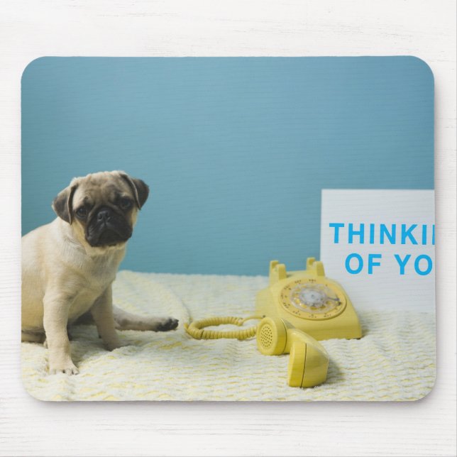 Pug puppy sitting on bed next to phone and mouse mat (Front)