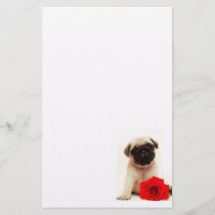 Pug puppy stationary stationery