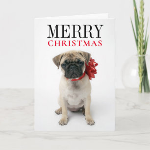 Pug Puppy with Christmas Bow Holiday Card