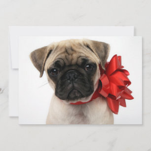 Pug Puppy Wrapped in a Christmas Bow Holiday Card