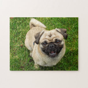 Pug Puzzle