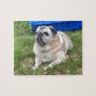 Pug Puzzle