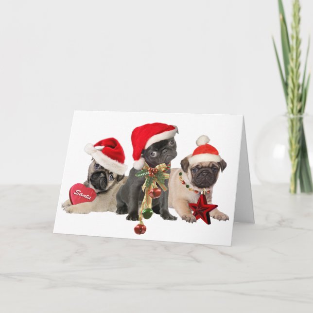 Pug Santa Paws Wish You Merry Christmas cards (Front)