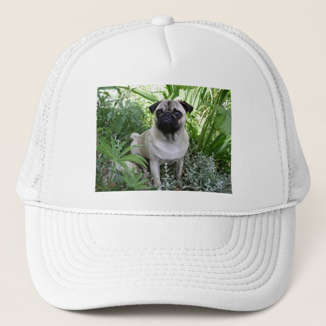 pug sitting trucker hat (Front)