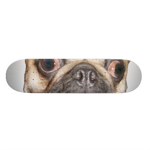 Pug Skateboard