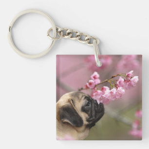 Pug Smelling Cherry Blossoms Key Ring