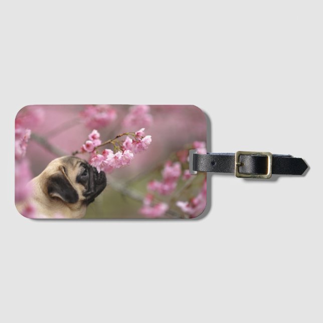 Pug Smelling Cherry Blossoms Luggage Tag (Front Horizontal)