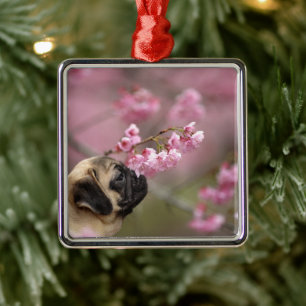 Pug Smelling Cherry Blossoms Metal Tree Decoration