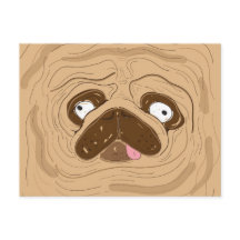 Pug Spreading Wrinkles Face