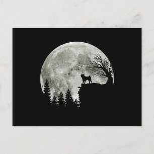 Pug Standing On Mountain Moonlight Halloween Postcard