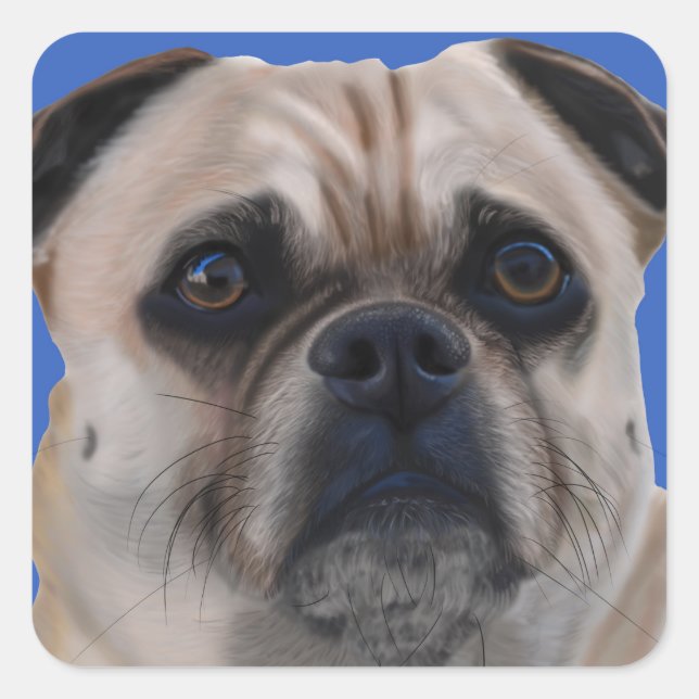 Pug stickers (Front)