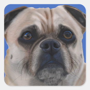 Pug stickers