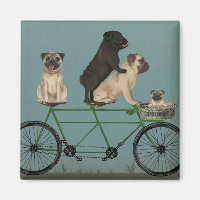 Pug Tandem
