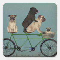 Pug Tandem