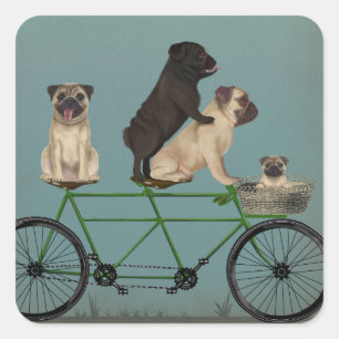 Pug Tandem Square Sticker