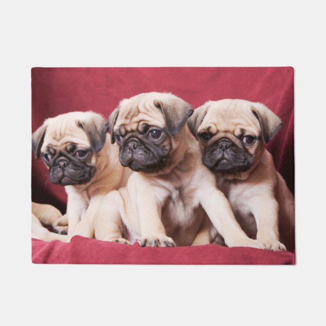 Pug Triplets Doormat (Front)