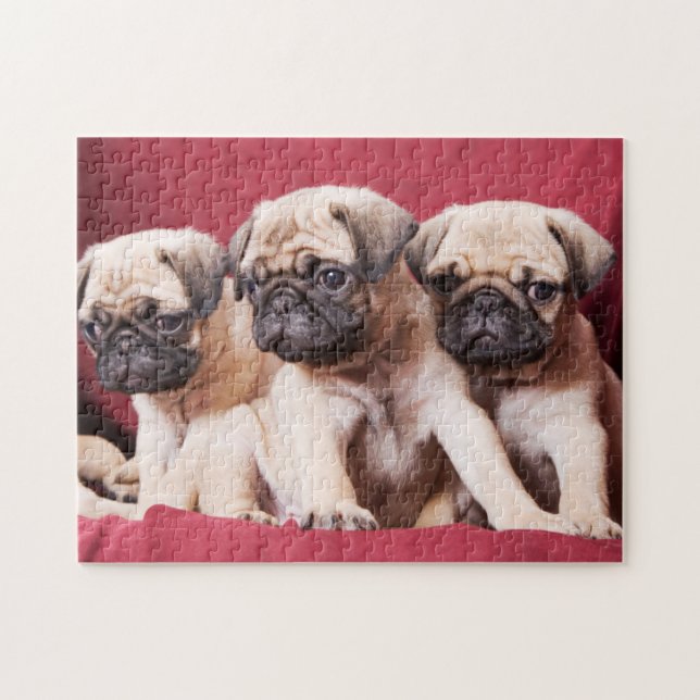 Pug Triplets Jigsaw Puzzle (Horizontal)
