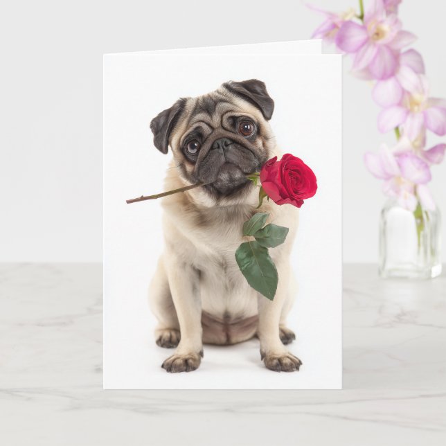Pug Valentine Card (Orchid)
