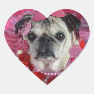 Pug Valentine Heart Stickers