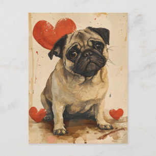 Pug Vintage Valentine's day  Postcard