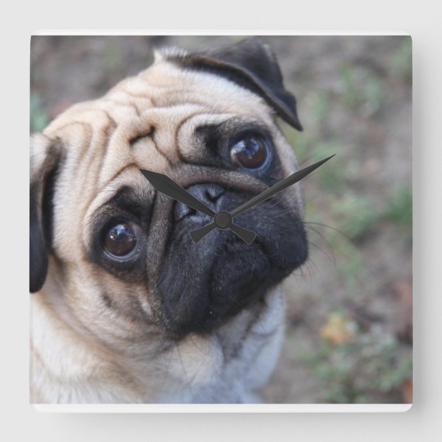Pug Wall Clock (Front)