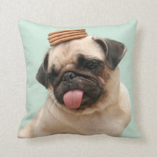 Pug Wants Treats Cushion