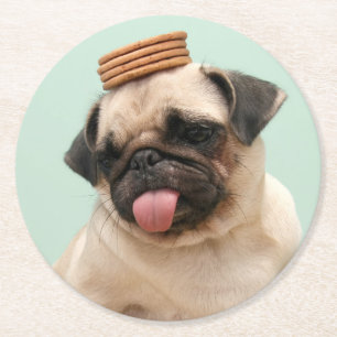 Pug Wants Treats Round Paper Coaster