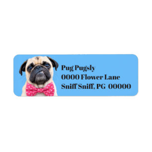 Pug Wearing Pink Bow