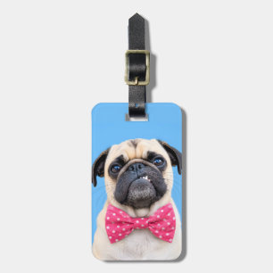 Pug Wearing Pink Bow Luggage Tag