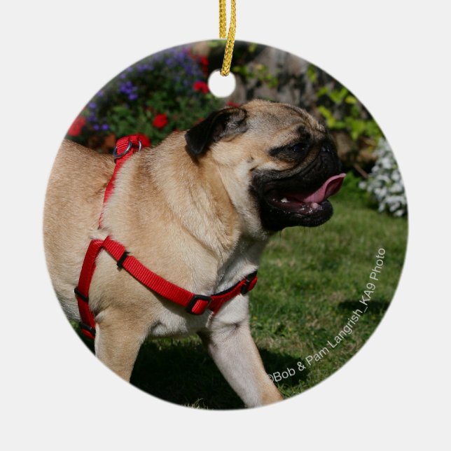 Pug Wearing Red Harness Ceramic Tree Decoration (Front)