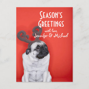 Pug wearing reindeer antlers postcard