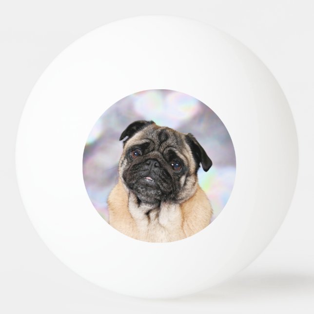 Pug - Willy Ping Pong Ball (Front)