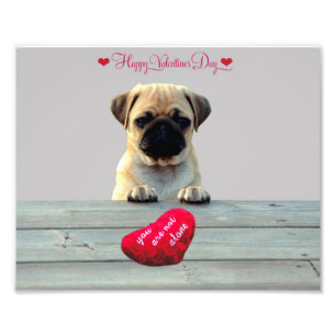 Pug Wishing Happy Valentine's day photo print