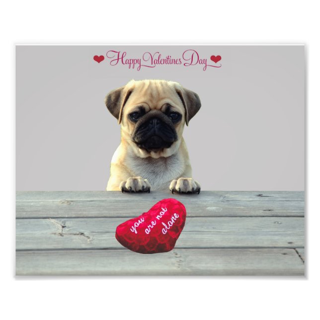 Pug Wishing Happy Valentine's day photo print (Front)