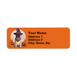 Pug Witch Halloween