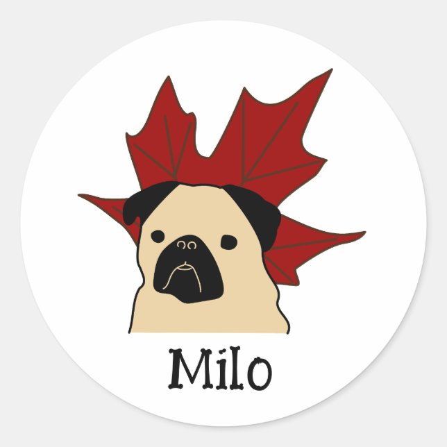 Pug with a Large Leaf Classic Round Sticker (Front)