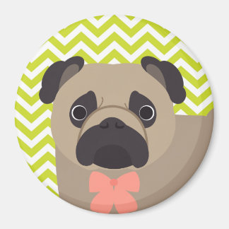 Pug With Bow Tie Green Chevron Stripe Pattern Magnet