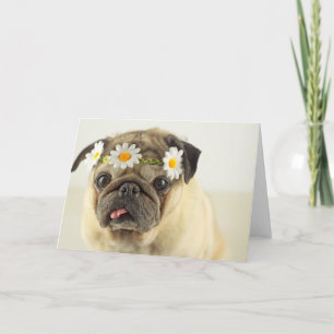 Pug with Daisy Crown Card