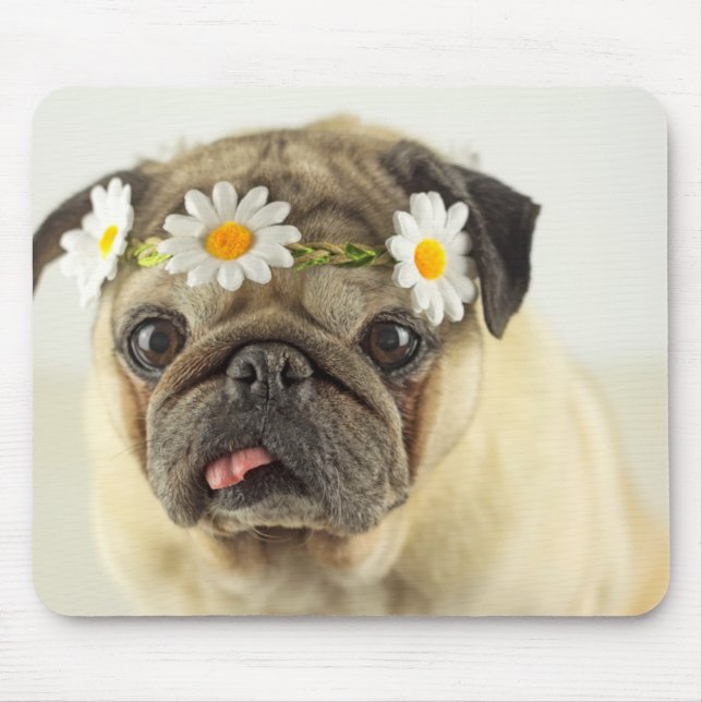 Pug with Daisy Crown Mouse Mat (Front)
