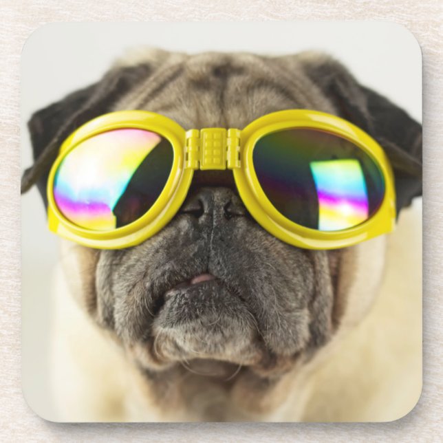 Pug with Goggles Coaster (Front)