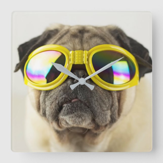 Pug with Goggles Square Wall Clock (Front)