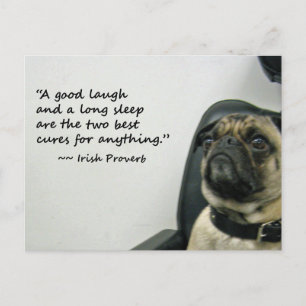 Pug with Irish Proverb Postcard