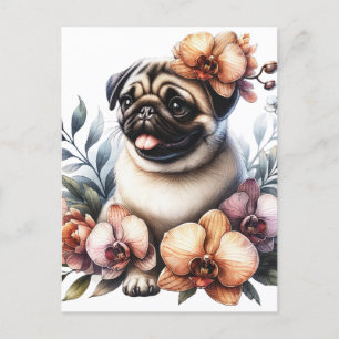 Pug with Orchid Branch, Postcrossing Postcard