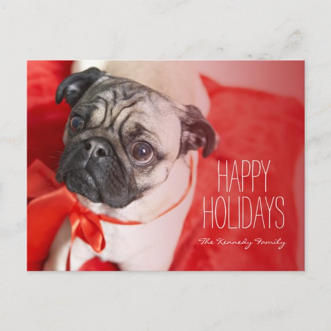 Pug with red ribbon holiday postcard (Front)