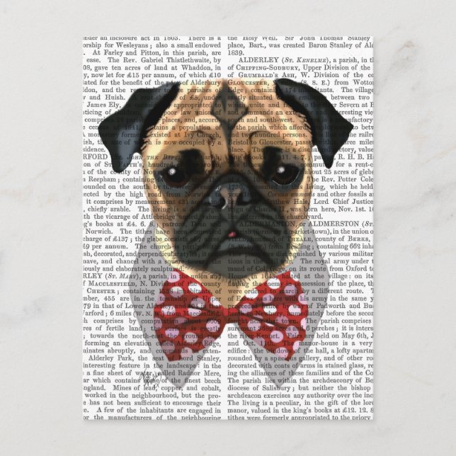 Pug with Red Spotted Bow Tie Postcard (Front)