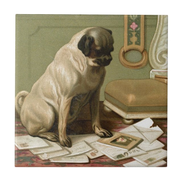 Pug with the Post Tile (Front)